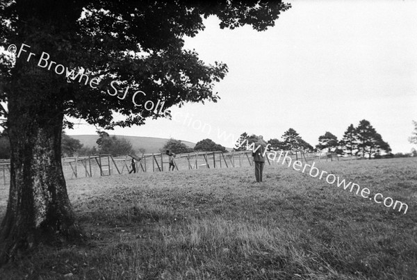 SILVER TOM FARM BALLYFEA GENERAL VIEW OF KENNELS